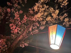城山公園桜まつり